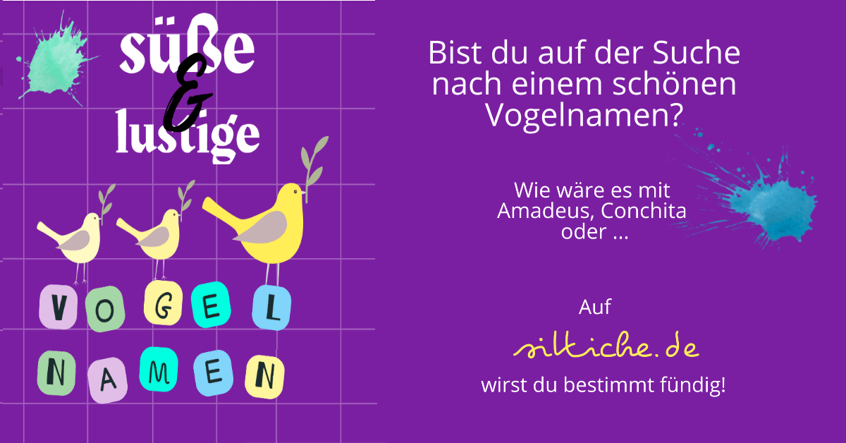 www.sittiche.de