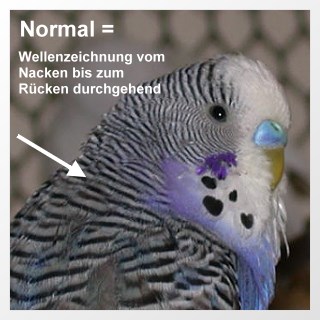Zeichnung normal