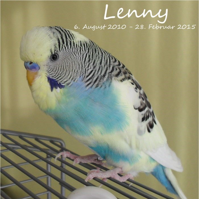 Lenny vor PBFD Ausbruch